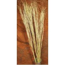 Natural Yangani Branches - Tall