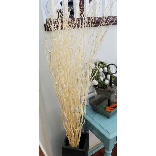 Willow Stick Branches - Bleached White
