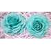 Preserved Roses - Extra Large - 2 per Order - Colors