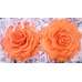 Preserved Roses - Extra Large - 2 per Order - Colors