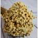 Dried Happy Flower - Straw Flowers 