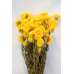 Dried Strawflowers Bouquet - Yellow