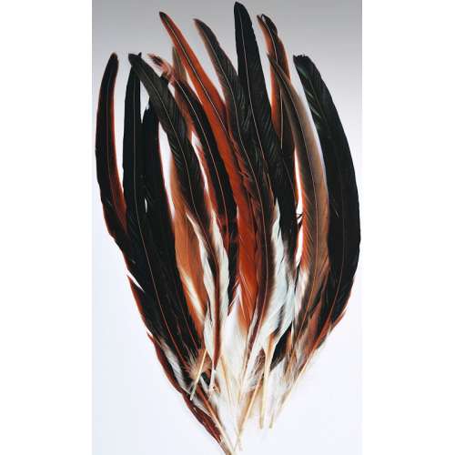 50 PCS Natural Colourful Rooster Feathers Fly Tying Bulk Feathers Christmas  Decorations For Home Wedding New Year Cosplay Sale